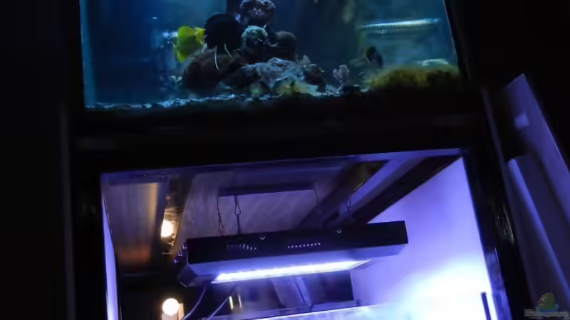 Blog: 120 Watt LED Modul 1:1 blau:wei??, BridgeLux-LED (4326)