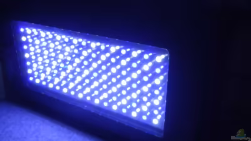 Blog: 120 Watt LED Modul 1:1 blau:wei??, BridgeLux-LED (4326)