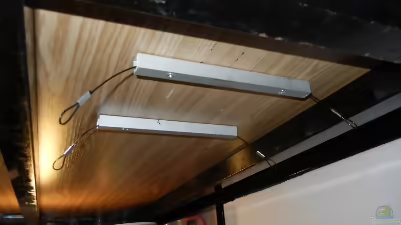 Blog: 120 Watt LED Modul 1:1 blau:wei??, BridgeLux-LED (4326)