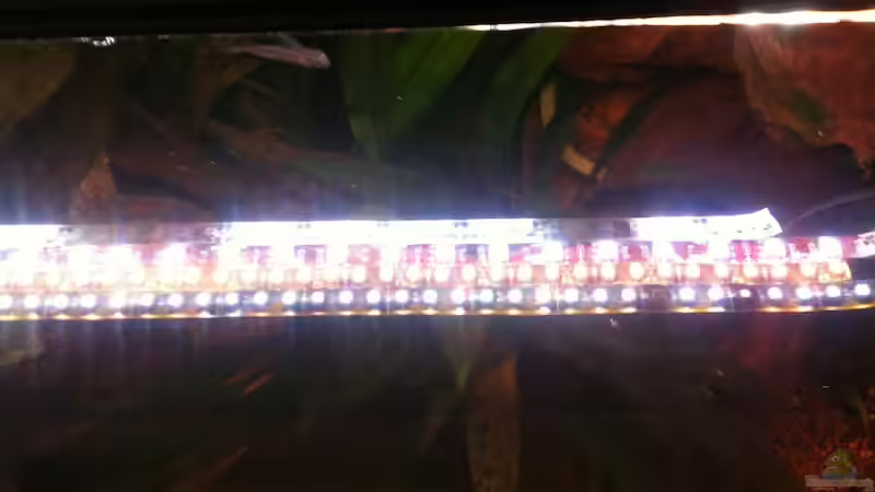 Blog: ABENTEUER Umrüstung eines Juwel Rio 400 auf LED-Beleuchtung (4245)