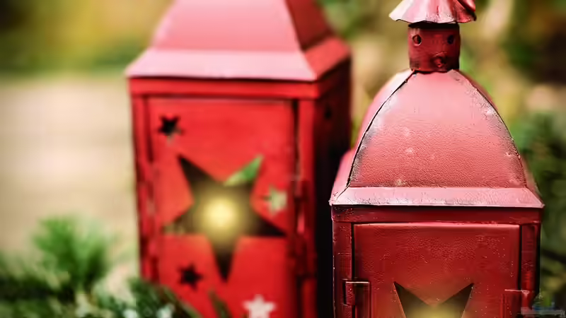 Blog: Advent und Weihnachten im Garten (6592)