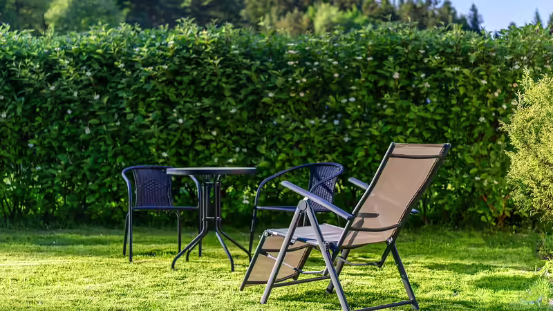 Blog: Alternativen zum Kirschlorbeer - Nachhaltige, schöne und heimische Sträucher für eine grüne Hecke im Garten (7374)