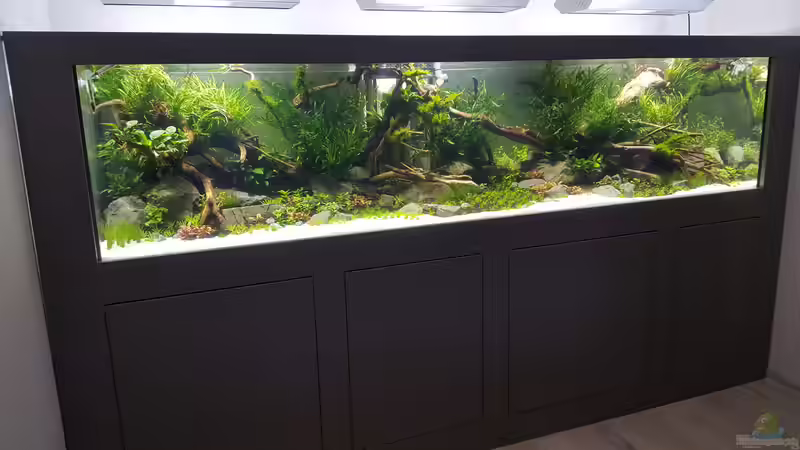 Blog: Aquarium Deko aus der Natur - Natürliche Gestaltung für ein authentisches Unterwasserbiotop (7997)