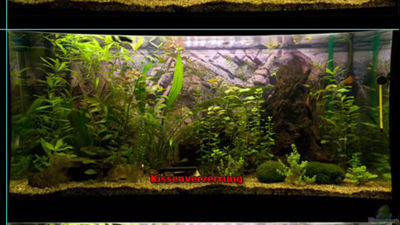 Blog: Aquarium-Fotografie (1424)