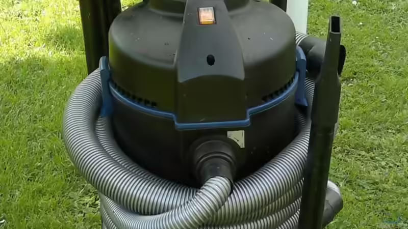 Blog: Aquarium meets Teich - Geht nicht, gibts nicht! (5050)