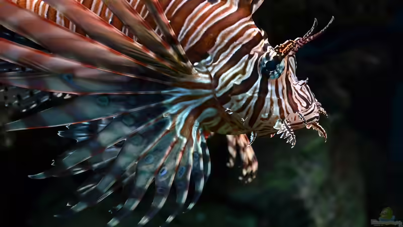 Blog: Aquarium und Terrarium im Kölner Zoo - Einen Besuch wert? Der große Guide 2025 (7187)