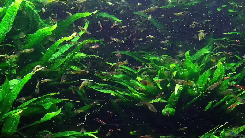 Blog: Aquarium und Terrarium im Kölner Zoo - Einen Besuch wert? Der große Guide 2025 (7187)