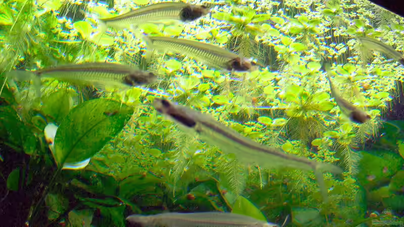Blog: Aquarium und Terrarium im Kölner Zoo - Einen Besuch wert? Der große Guide 2025 (7187)