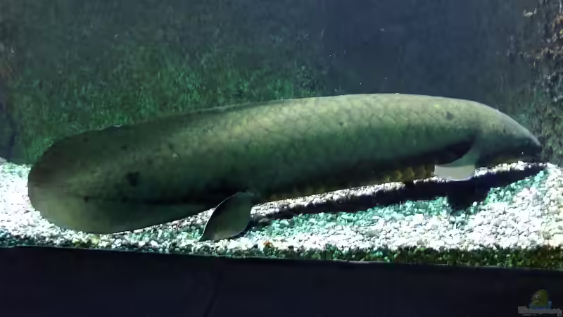 Blog: Aquarium und Terrarium im Kölner Zoo - Einen Besuch wert? Der große Guide 2025 (7187)