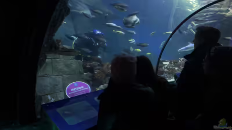 Blog: Ausflug zum Sea Life nach München Teil 2/2 (5405)