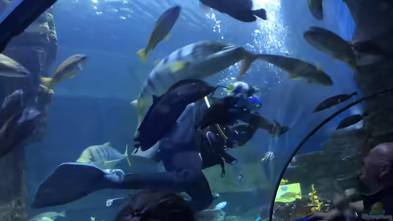 Blog: Ausflug zum Sea Life nach München Teil 2/2 (5405)