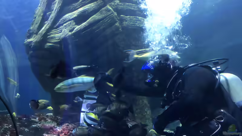 Blog: Ausflug zum Sea Life nach München Teil 2/2 (5405)