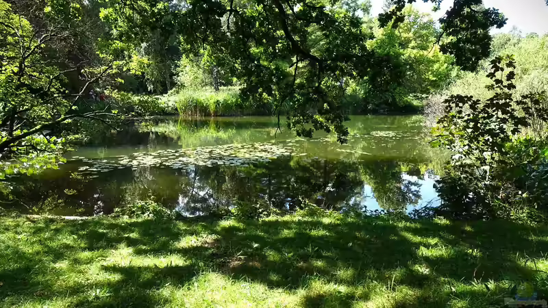 Blog: Ausflugstipp: Der Botanische Garten München-Nymphenburg (6354)