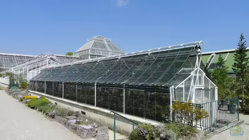 Blog: Ausflugstipp: Der Botanische Garten München-Nymphenburg (6354)