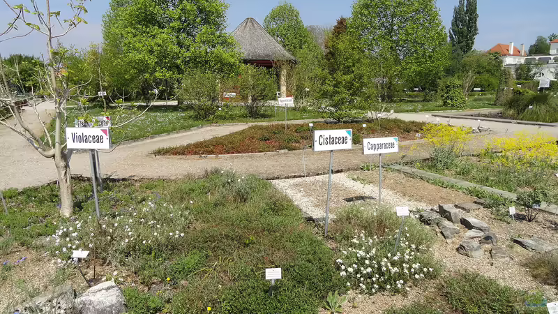 Blog: Ausflugstipp: Der Botanische Garten München-Nymphenburg (6354)