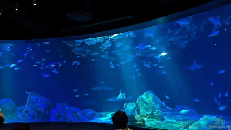 Blog: Ausflugsziel für Aquarianer: Das New York Aquarium (6867)