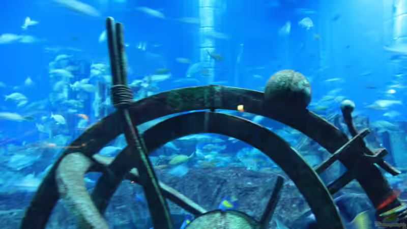Blog: Außergewöhnliche Orte für Aquarien - Hier würde man sie nicht vermuten (6392)