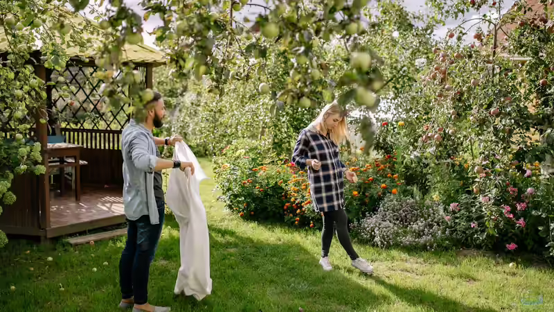Blog: Bäume online bestellen: Alles, was du wissen musst (7703)
