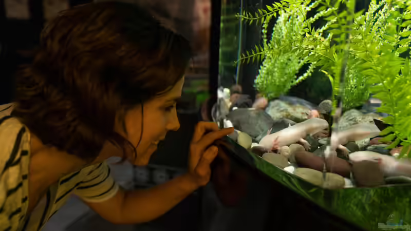 Blog: Balance statt Zufall - Raumklima clever planen - für Mensch, Aquarium & Technik (7287)