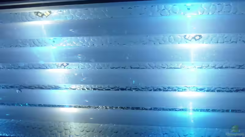 Blog: Bau einer Beleuchtung mit High Power LEDs für Meerwasserbecken (2839)
