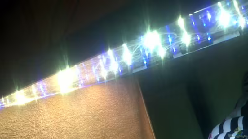 Blog: Bau einer High Power LED Leuchte mit Lichtcomputer für Meerwasser-Aquarien (3767)