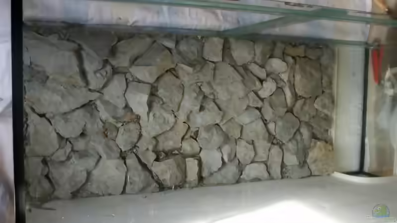 Blog: Bau einer kostengünstigen Rückwand Teil 3 - Das Einkleben und Wässern (79)