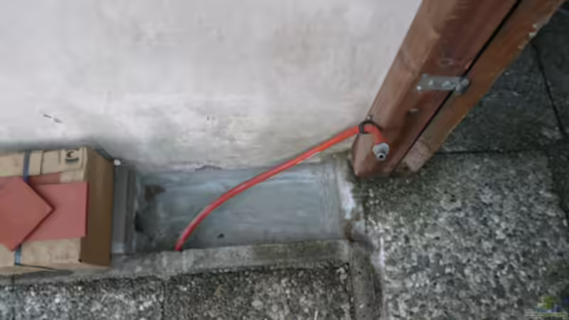 Blog: Bau einer Zuchtanlage: Ein Fazit nach 5 Jahren Betrieb (4785)