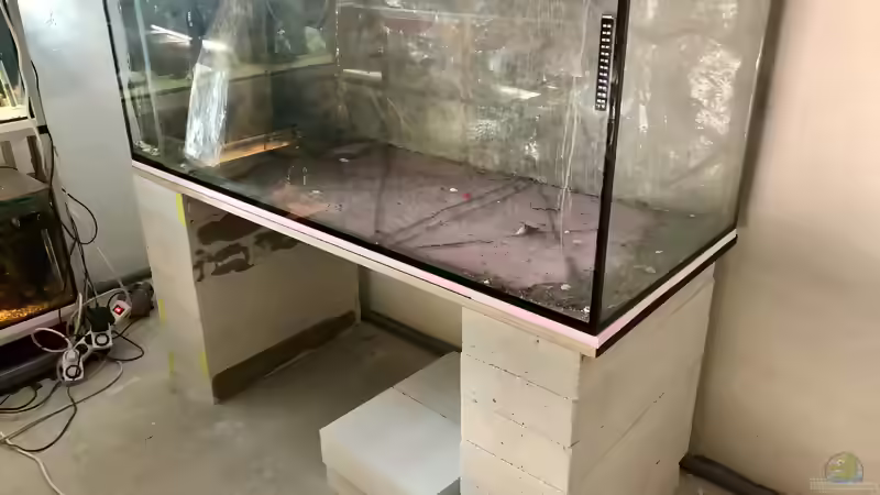 Blog: Bau eines Aquarien-Kellers, Teil SIEBEN, Frühling/Sommer 2019 (5317)