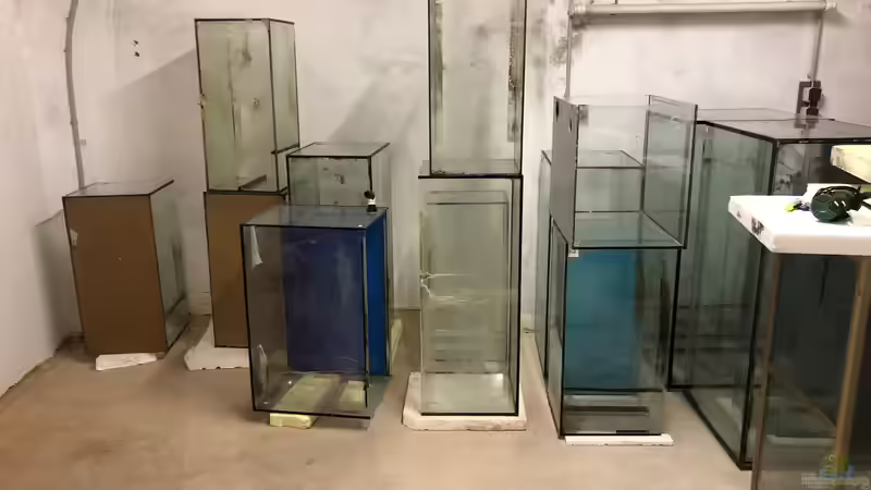 Blog: Bau eines Aquarien-Kellers, Teil ZWEI, Sommer 2018 (5312)