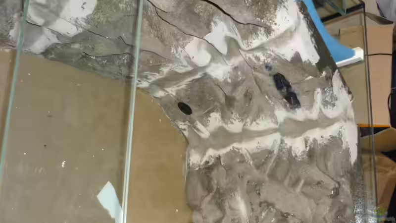 Blog: Bau meiner Rückwand (3049)