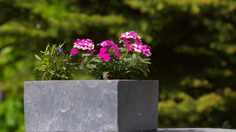 Blog: Bauhaus im Garten: Nicht nur Stil für das Wohnhaus (6564)