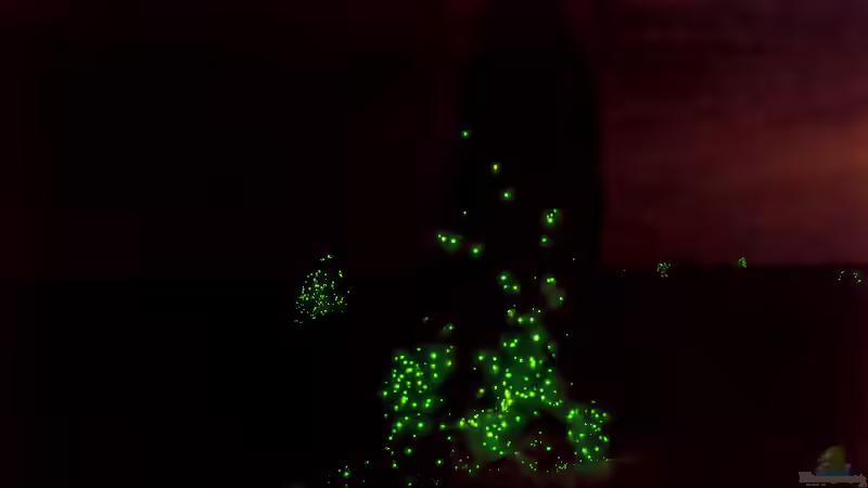 Blog: Begriffe erklärt: Biolumineszenz (Biolumineszenz - Bioluminescentia) (7888)