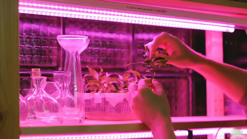 Blog: Begriffe erklärt: Was ist Vertical Gardening? (6965)