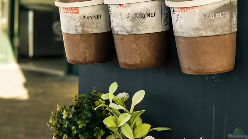 Blog: Begriffe erklärt: Was ist Vertical Gardening? (6965)
