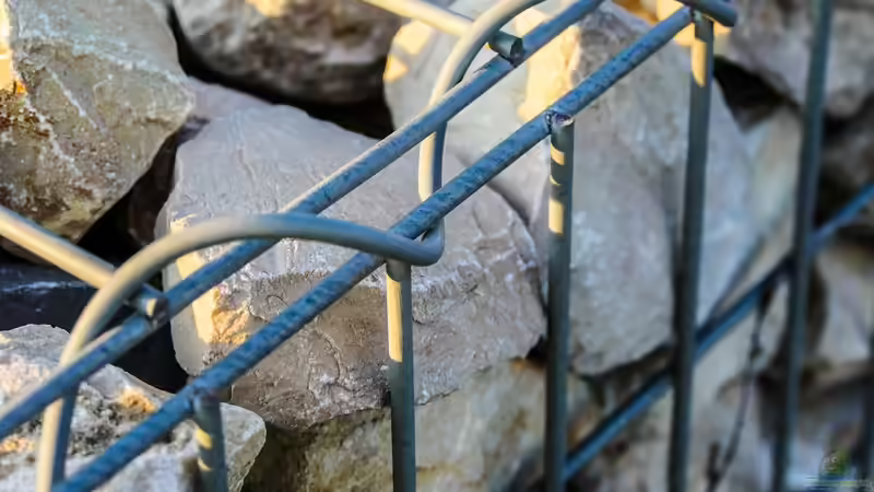 Blog: Begriffe erklärt: Was sind Gabionen? (6806)