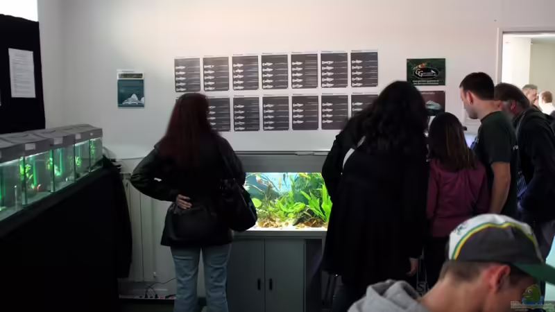 Blog: Bericht und Bilder vom Aquaristikevent für das Programm am 16.04.2011 in Berlin (4156)