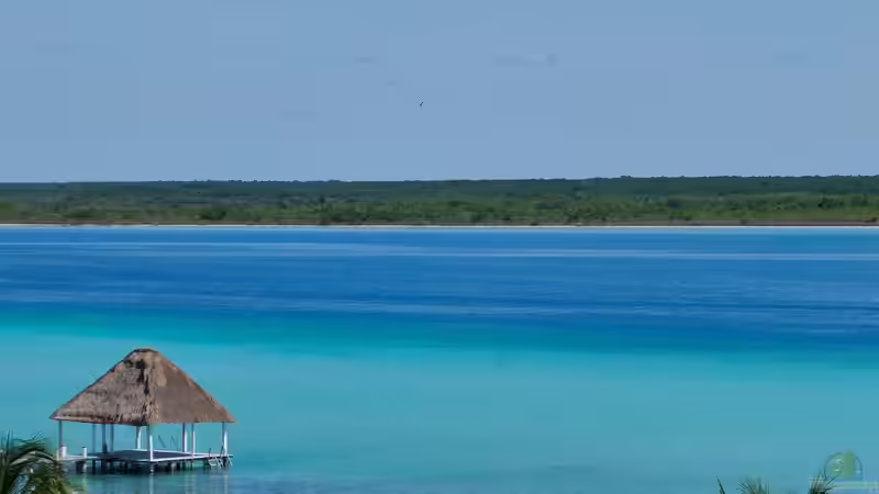 Blog: Besondere Fauna in Lagunen - faszinierende Lebensräume zwischen Meer und Land (7598)