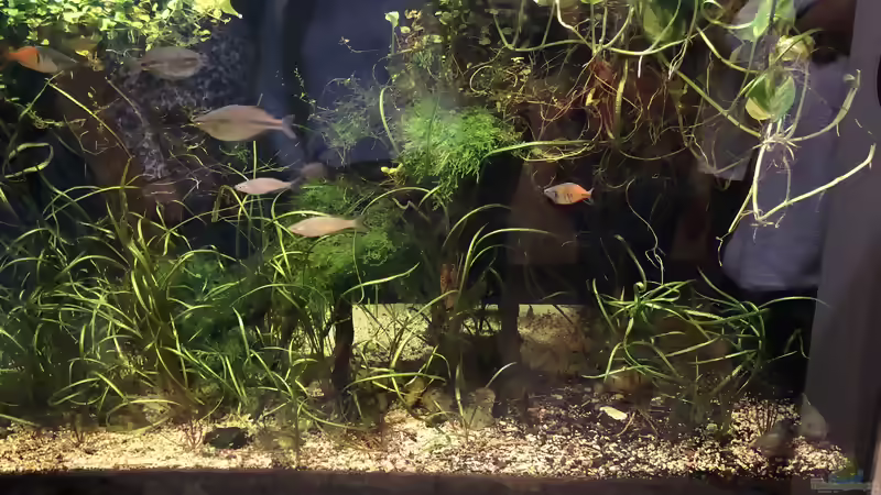 Blog: Besuch im Haus des Meeres in Wien (5358)