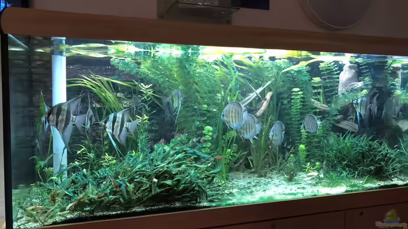 Blog: Besuch im Haus des Meeres in Wien (5358)