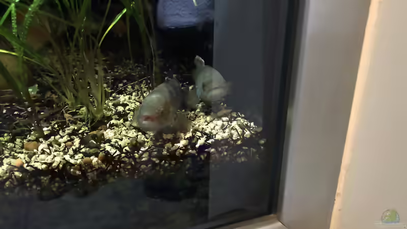 Blog: Besuch im Haus des Meeres in Wien (5358)