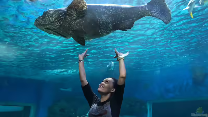 Blog: Besuch im Manila Ocean Park auf den Philippinen (5273)
