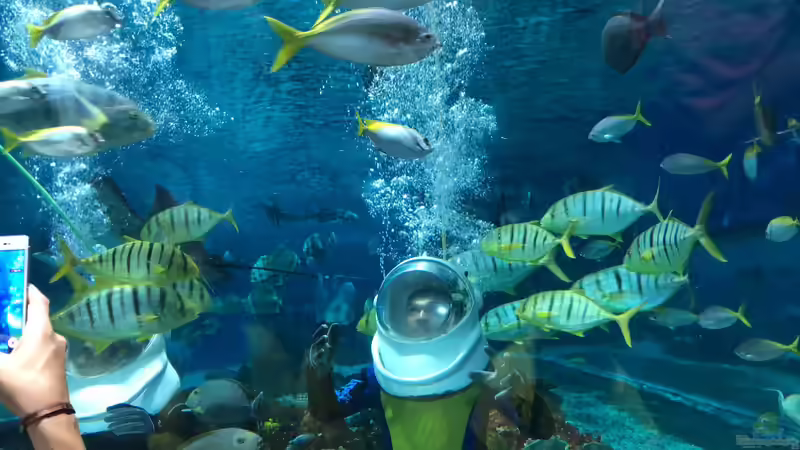 Blog: Besuch im Manila Ocean Park auf den Philippinen (5273)