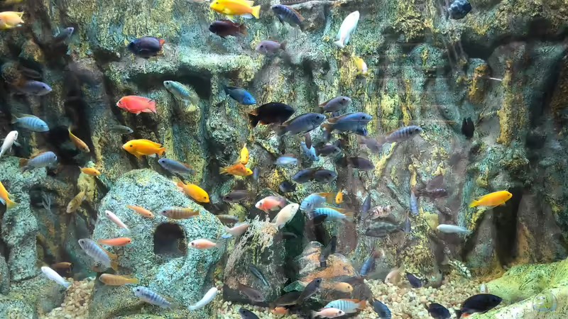 Blog: Besuch im Manila Ocean Park auf den Philippinen (5273)