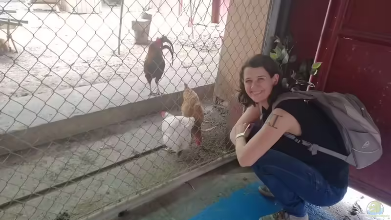 Blog: Besuch im Manila Ocean Park auf den Philippinen (5273)