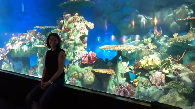 Blog: Besuch im Manila Ocean Park auf den Philippinen (5273)