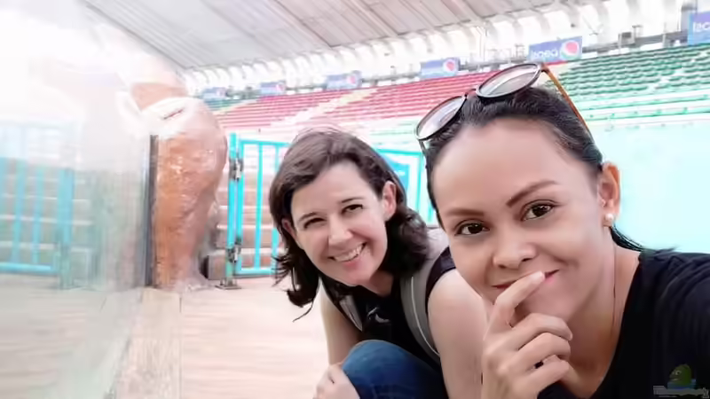 Blog: Besuch im Manila Ocean Park auf den Philippinen (5273)