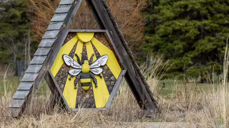Blog: Bienenhotel im Garten - Lebensraum für Wildbienen schaffen und Biodiversität fördern (7910)