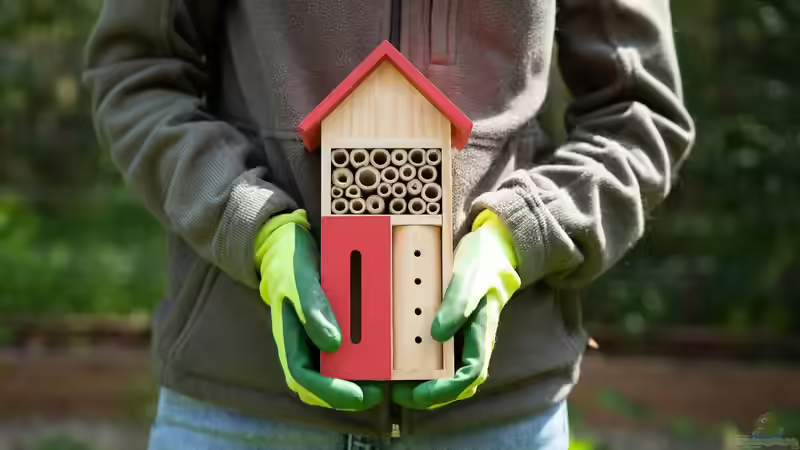 Blog: Bienenhotel im Garten - Lebensraum für Wildbienen schaffen und Biodiversität fördern (7910)