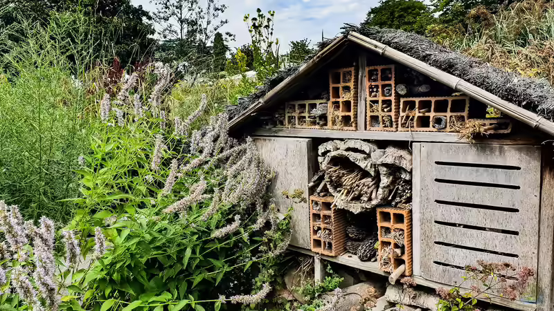 Blog: Bienenhotel im Garten - Lebensraum für Wildbienen schaffen und Biodiversität fördern (7910)