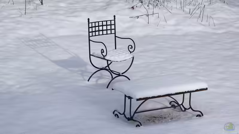 Blog: Biologische Mechanismen des Winterschlafs: Eine genaue Betrachtung (6548)